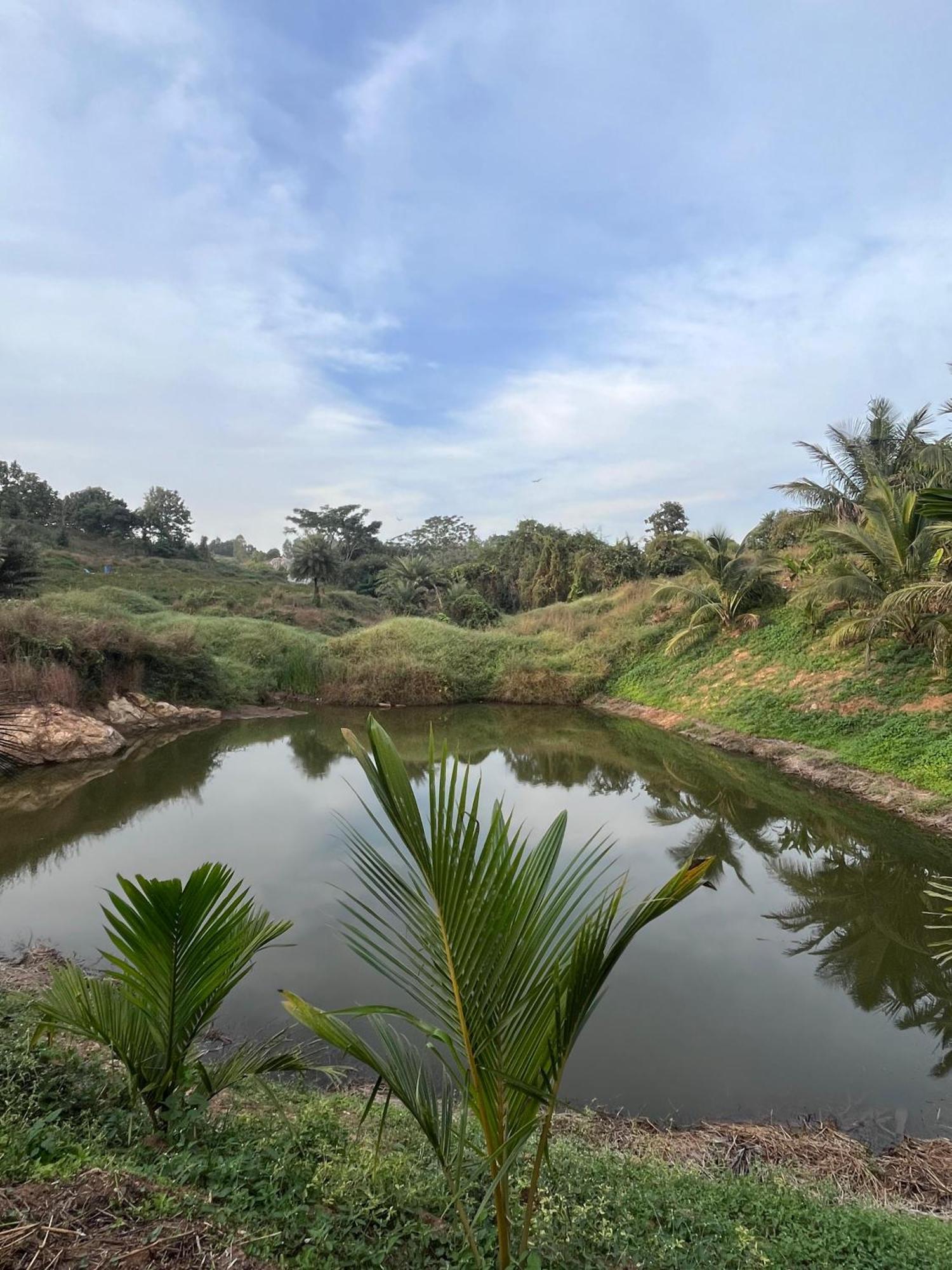 Gandhadagudi Nature Retreat Bangalore Exteriör bild